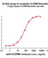 ELISA assay to evaluate CLDN6-Nanodisc