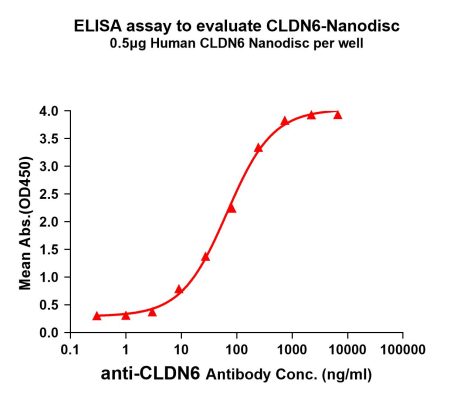 ELISA assay to evaluate CLDN6-Nanodisc