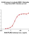 ELISA assay to evaluate MDR-1-Nanodisc