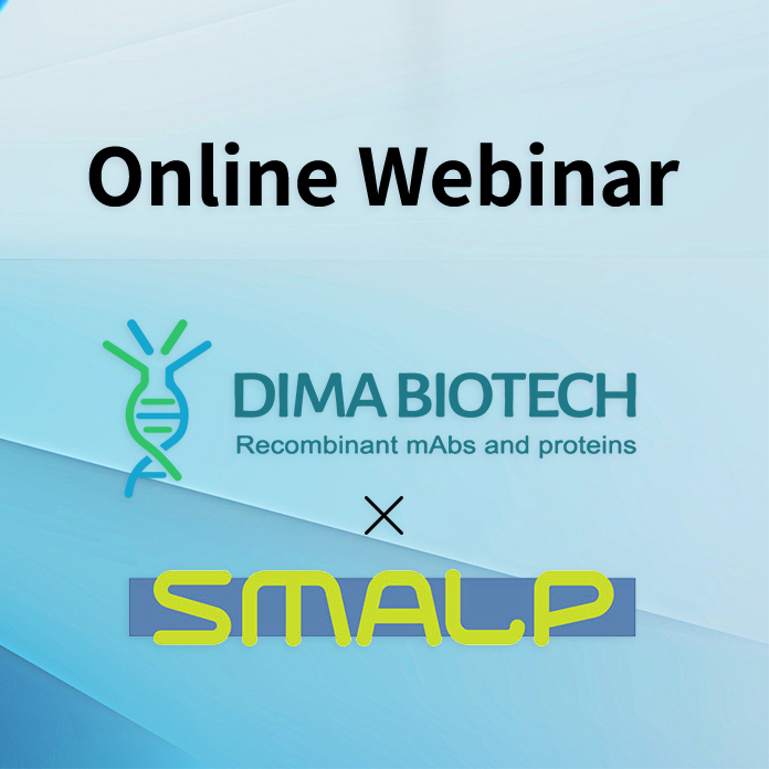 online webinar