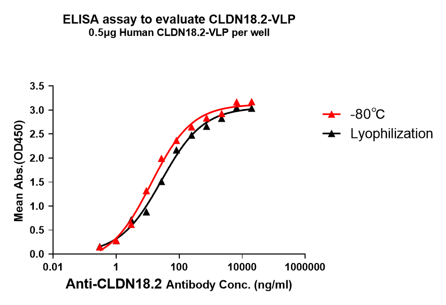 pages-Full length Membrane Proteins High Activity High Stability 2