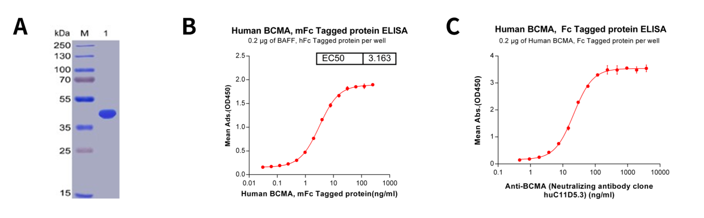 DIMA Biotechnology