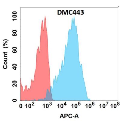 antibody-DMC100443 CXCR7 Flow Fig1