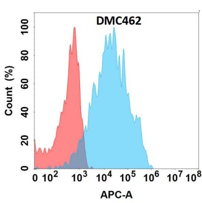 antibody-DMC100462 PRLR Fig.1 FC 1