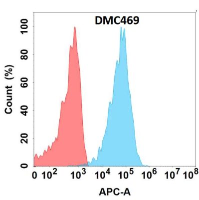 antibody-DMC100469 CLEC9A Fig.1 FC 1