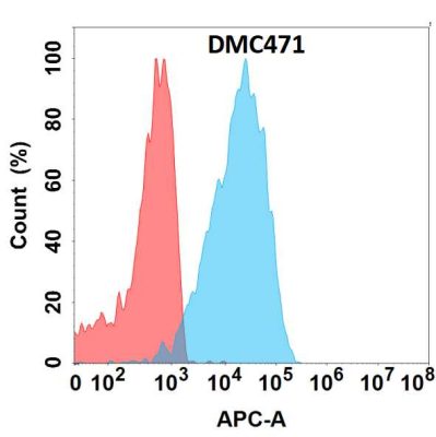 antibody-DMC100471 IL22 Fig.1 FC 1