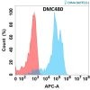 antibody-DMC100480 DDR1 Fig.1 FC 1