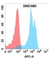 antibody-DMC100480 DDR1 Fig.1 FC 1