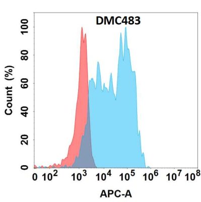 antibody-DMC100483 CHI3L1 Fig.1 FC 1