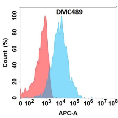 antibody-DMC100489 CRTAM Fig.1 FC 1