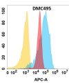 antibody-DMC100495 YAP1 Fig.1 FC 1