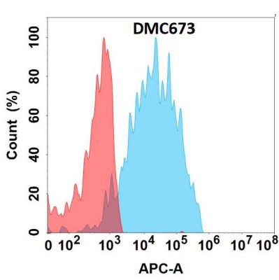 antibody-DMC100673 CRTAM Fig.1 FC 1