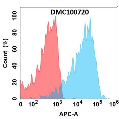 antibody-DMC100720 ENPP3 Fig.1 FC 1