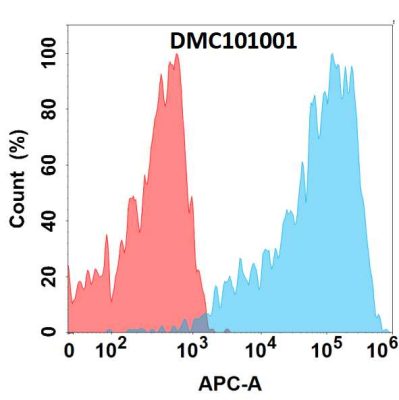 antibody-DMC101001 GIPR Fig.1 FC 1