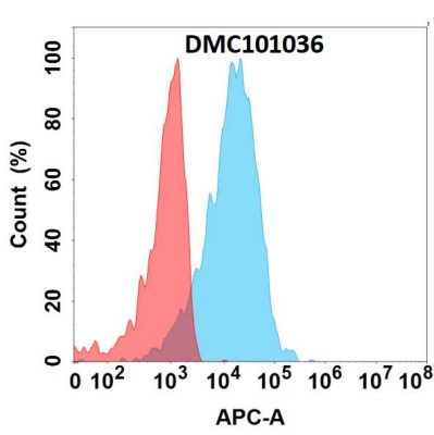 antibody-DMC101036 FGF19 Fig.1 FC 1