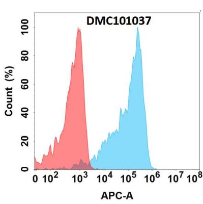 antibody-DMC101037 TNFRSF1B Fig.1 FC 1