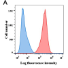 antibody-DME100006 BCMA Fig1 A