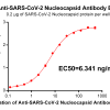 antibody-DME100015 SARS CoV 2 Nucleocapsid Figure 1