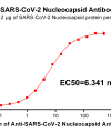 antibody-DME100015 SARS CoV 2 Nucleocapsid Figure 1