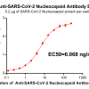 antibody-DME100016 SARS CoV 2 Nucleocapsid Figure 1