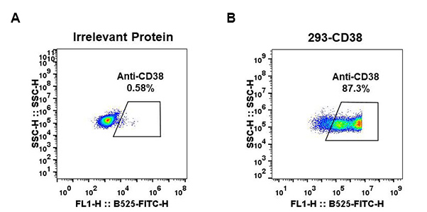 DME100027-CD38-Fig.1-FC-1.jpg