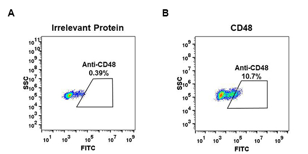 DME100043-CD48-Fig.1-FC-1.jpg