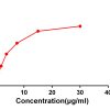 antibody-DME100043 CD48 Flow FIG2