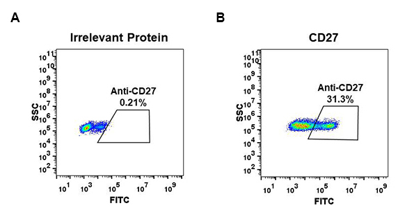 DME100058-CD27-Fig.1-FC-1.jpg