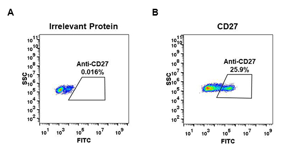 DME100059-CD27-Fig.1-FC-1.jpg