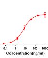 antibody-DME100063 CD28 Fig.1 Elisa 1