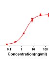 antibody-DME100066 4 1BB ELISA fig1