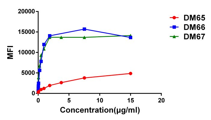 antibody-DME100066 DME100067 4 1BB FLOW FIG4