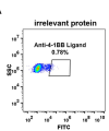 antibody-DME100068 4 1BBL 293 A FLOW fig 2