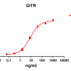 antibody-DME100079 GITR ELISA Fig1