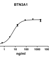 antibody-DME100092 BTN3A1 ELISA Fig1