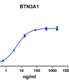 antibody-DME100094 BTN3A1 ELISA Fig1