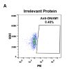 antibody-DME100095 DNAM 1 FLOW 293 A Fig2