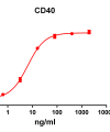 antibody-DME100100 CD40 ELISA Fig1