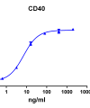 antibody-DME100101 CD40 ELISA Fig1