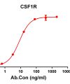 antibody-DME100106 CSF1R ELISA Figure 1