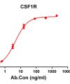 antibody-DME100108 CSF1R ELISA Figure 1