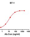 antibody-DME100109 B7 1 EILSA Figure 1