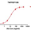 antibody-DME100113 TNFRSF10B ELISA Figure1