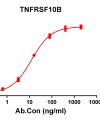 antibody-DME100113 TNFRSF10B ELISA Figure1