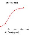 antibody-DME100114 TNFRSF10B ELISA Figure1