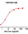 antibody-DME100115 TNFRSF10B ELISA Figure1