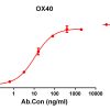 antibody-DME100116 OX40 ELISA Figure1