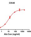 antibody-DME100116 OX40 ELISA Figure1