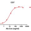 antibody-DME100118 CD7 ELISA Figure1