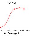 antibody-DME100126 IL 17RA ELISA Figure1